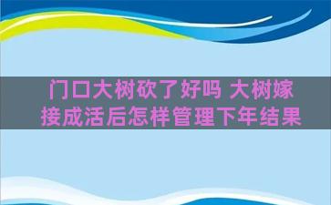 门口大树砍了好吗 大树嫁接成活后怎样管理下年结果